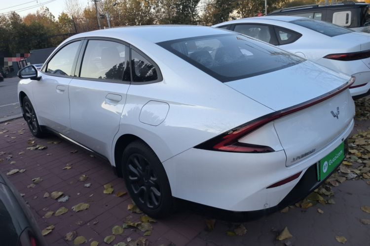 Used Wuling Xingguang 2025 70km Smart Standard Version
