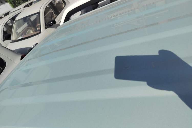 Used  Panda 2024 Panda Mini 200km Endurance Bear