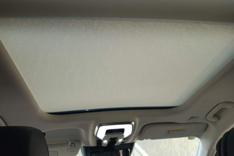 Used Hongqi E-HS9 2021 460 km Range Flagship Edition Six-Seater
