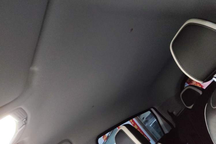 Used Geometry E Firefly 2022 320KM Cute Tiger 4-Seater
