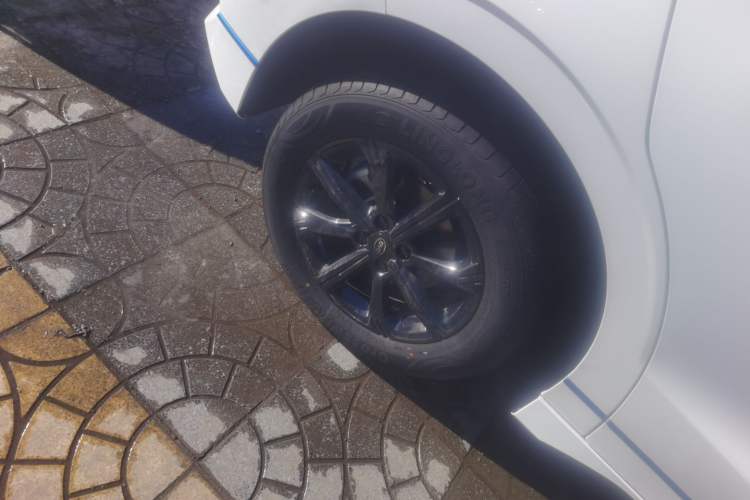 Used BYD e2 2021 Luxury Model