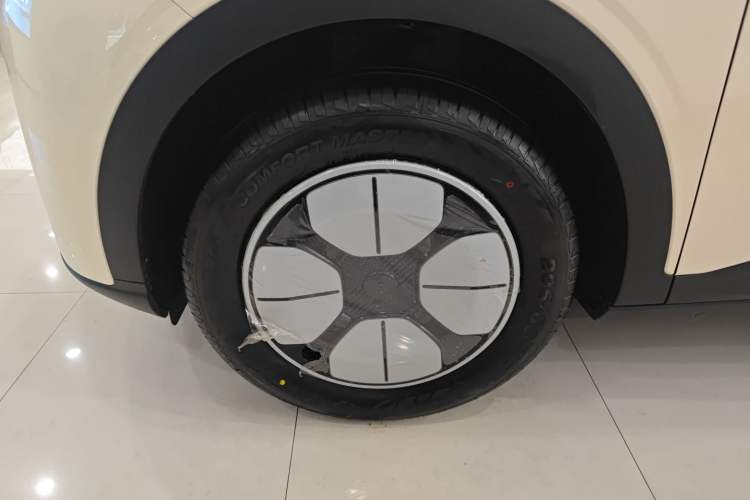 Used  Geome 2025 310km Youth Edition