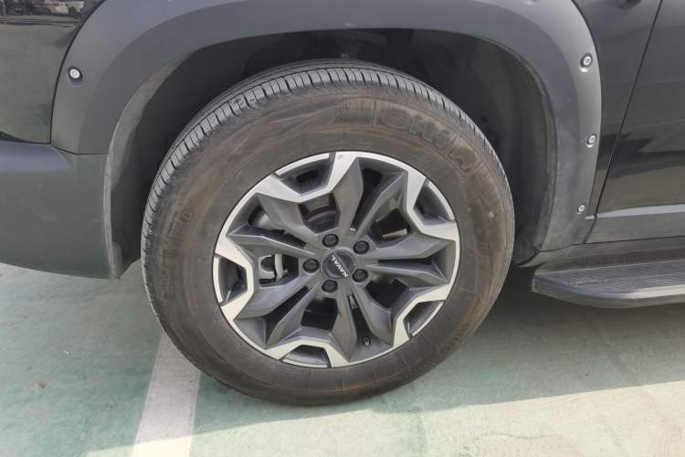 Used Haval DARGO 2024 2.0T DCT Chinese Rural Dog Edition
