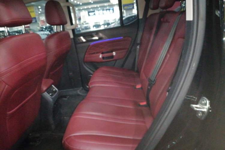 Used Tank 300 2024 2.0T Conqueror