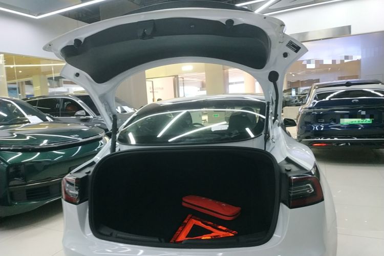 Used Tesla Model 3 2021 Performance High-Performance All-Wheel-Drive Version