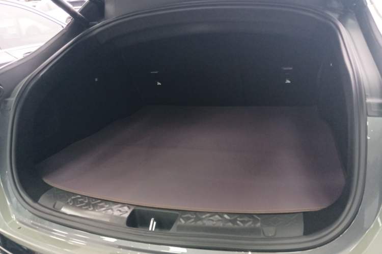 Used  06 2025 Ultra Pure Electric Edition