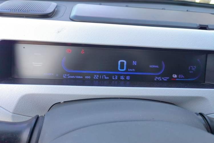 Used  Panda 2024 200km Panda Rider