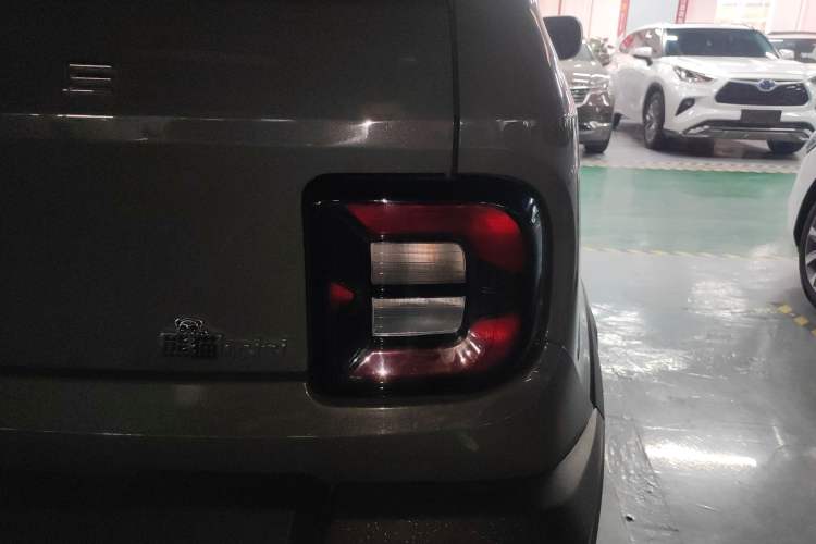 Used  Panda 2024 200km Panda Rider