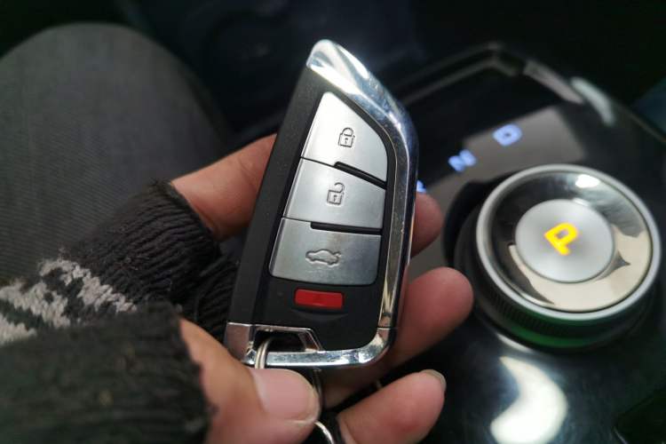 Used Geometry E Firefly 2022 401 km Linglong Tiger 4 Seats
