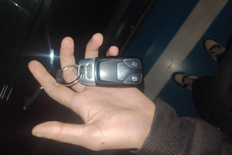 Used Audi A4 (Import) 2017 45 TFSI allroad quattro Fashion Edition
