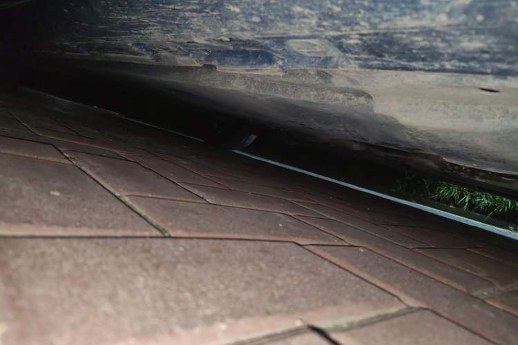 Used Audi S5 2023 S5 3.0T Coupe
