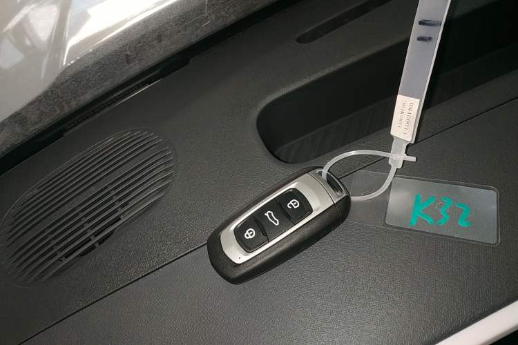 Used  Panda 2025 210 km – Yuanqi Bear
