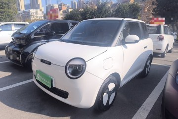 Used Qiyuan Lumin 2023 205km Xiangqin Version