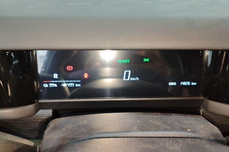 Used  03 2024 501km Two-Wheel Drive Long-Range Version
