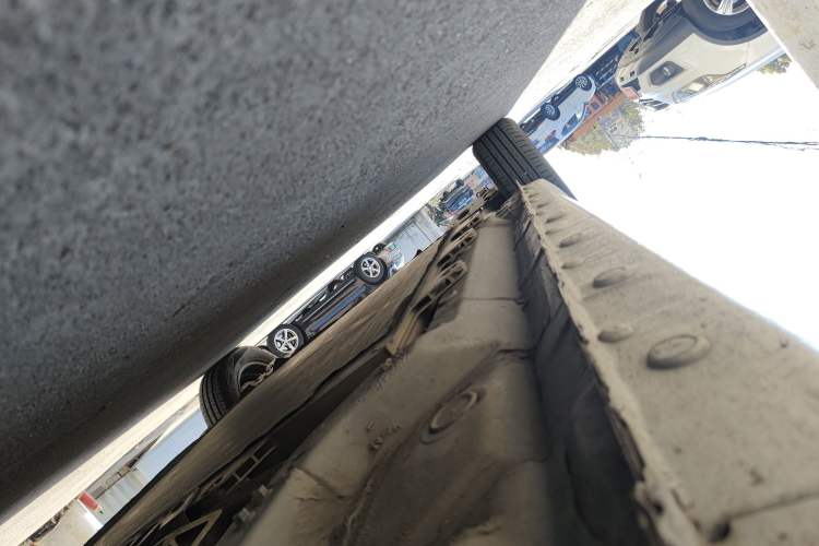 Used SOL E10X 2022 Flower Fairy Design Four-Leaf Clover
