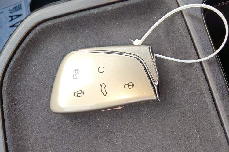 Used  06 2025 Model 520km