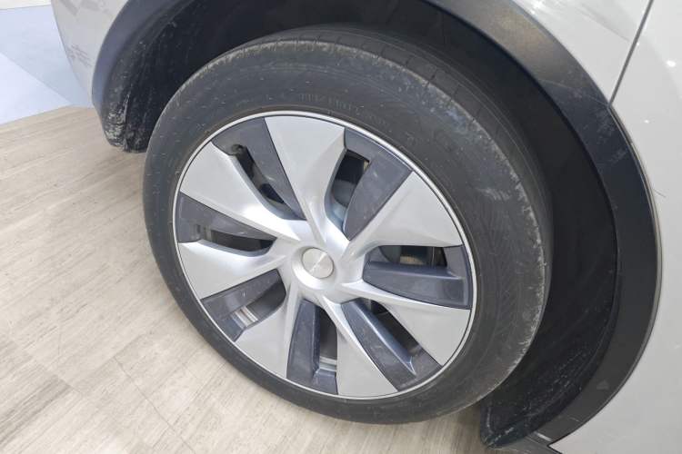 Used Tesla Model Y 2021 Standard Range Rear-Wheel Drive Version
