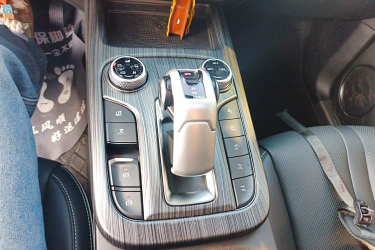 Used Tank 300 2024 2.0T Conqueror