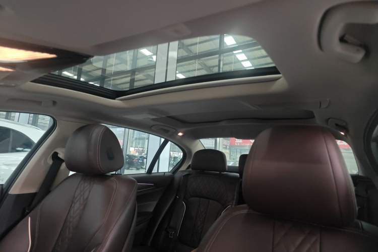 Used BMW 5 Series 2020 530Li Leading Edition Luxury Package