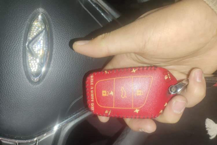 Used Chery Little Ant 2021 200 000-Yuan Ant Fan Edition Talent Version NMC Battery 301 km