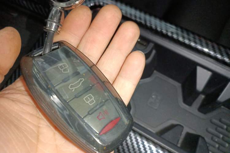 Used Haval DARGO 2021 1.5T DCT Two-Wheel Drive Border Collie Edition
