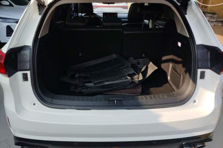 Used Wey VV6 2020 2.0T Two-Wheel Drive Smart Protection+
