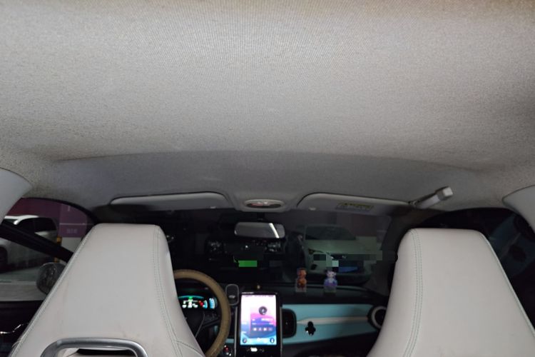 Used Chery Little Ant 2021 200 000-Yuan Ant Fan Edition Talent Version NMC Battery 301 km
