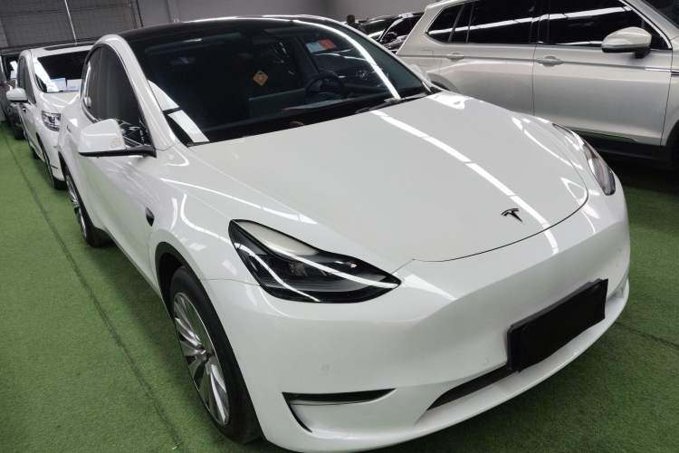 Used Tesla Model Y 2021 Standard Range Rear-Wheel Drive Version
