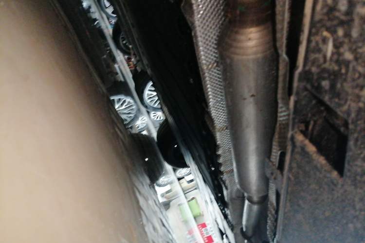 Used  06 2025 Pro Range-Extended Edition
