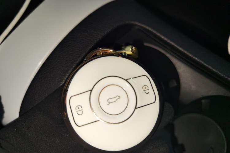 Used  #1 2022 Pulse Heartbeat Edition