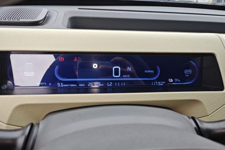 Used  Panda 2024 200km Panda Rider