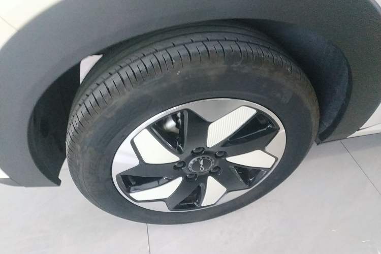 Used BYD Dolphin 2024 Honor Edition 420km Freedom Version
