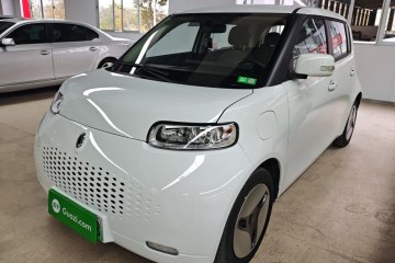 Used ORA White Cat 2020 360 km Luxury Version