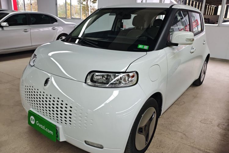 Used ORA White Cat 2020 360 km Luxury Version
