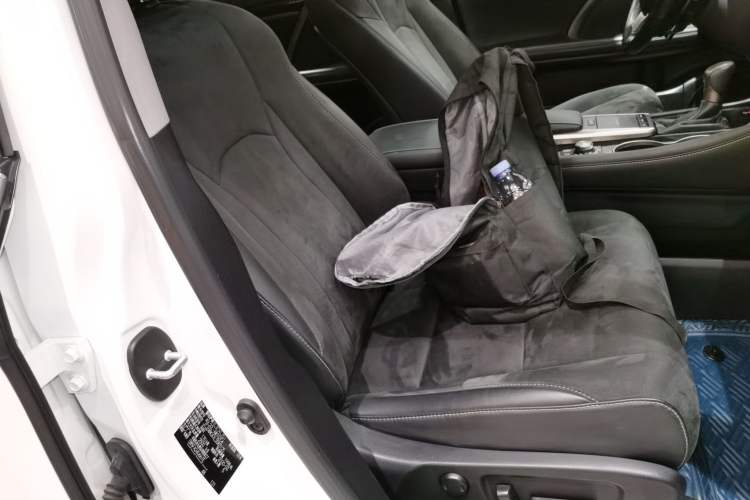 Used Lexus RX 2020 300 Two-Wheel Drive Elite Edition China VI Standard