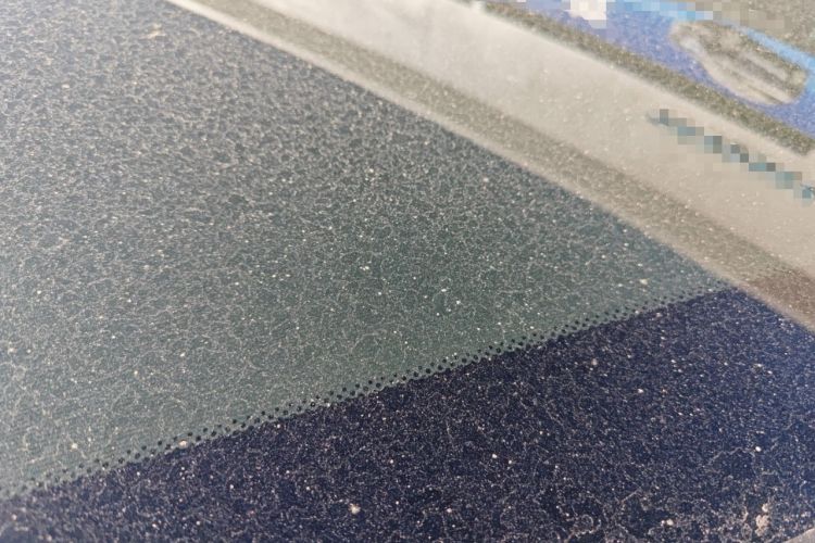 Used BYD Yuan PLUS 2025 Intelligent Driving Version 510 KM Beyond-Grade Edition