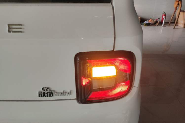 Used  Panda 2024 Panda Mini 200km Longteng PRO Edition
