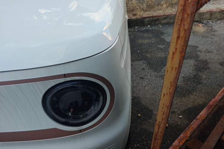 Used  Panda 2024 Panda Mini 200km Endurance Bear
