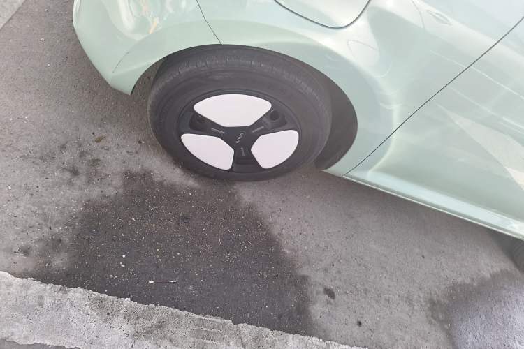 Used  Lumin 2022 210km Sweet Edition
