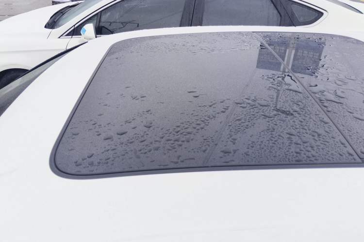 Used Audi A4L 2019 40 TFSI Ambition China VI
