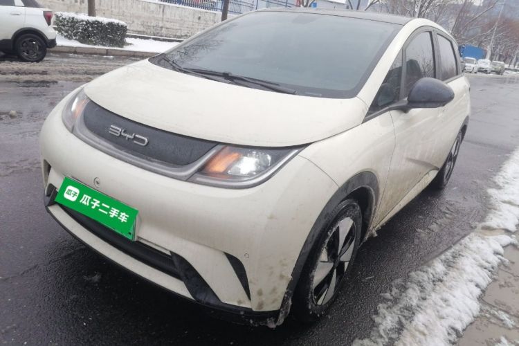 Used BYD Dolphin 2023 420 km Fashion Edition