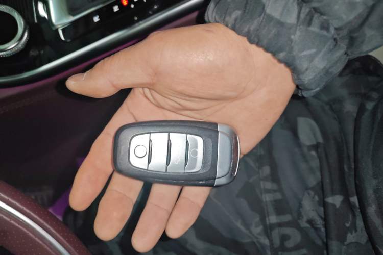 Used Hongqi H9 2020 3.0T Smart Connect Flagship Four-Seat Version