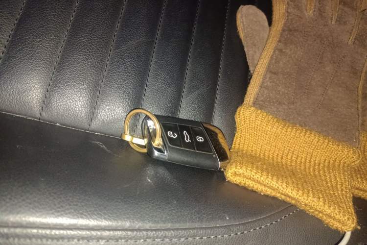 Used Volkswagen Magotan 2019 330TSI DSG Leading Model China VI Standard