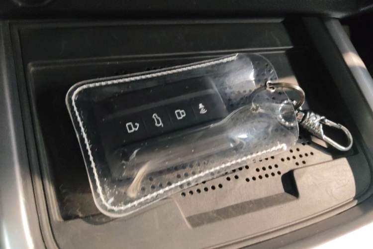 Used Tank 300 2024 2.0T Conqueror