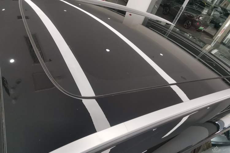 Used  #1 2024 Dynamic Standard Edition
