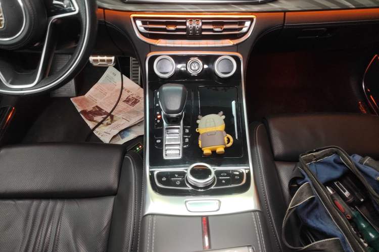 Used Hongqi H9 2020 2.0T Smart Connect Flagship Edition