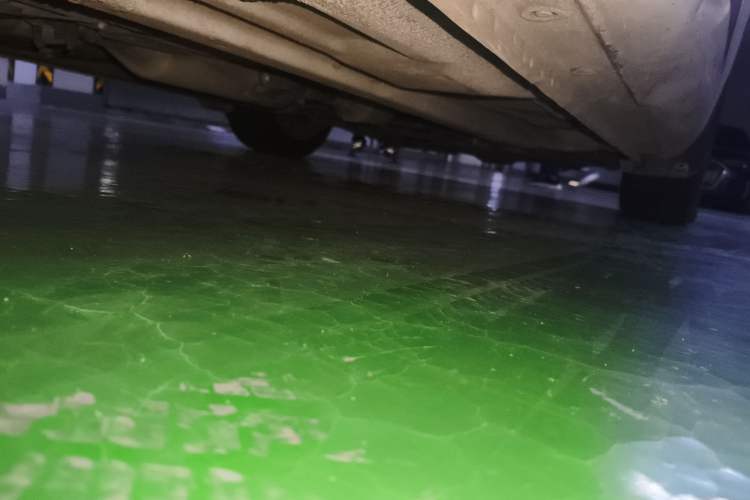 Used Mazda Mazda 6 2013 2.0L Automatic Fashion Edition
