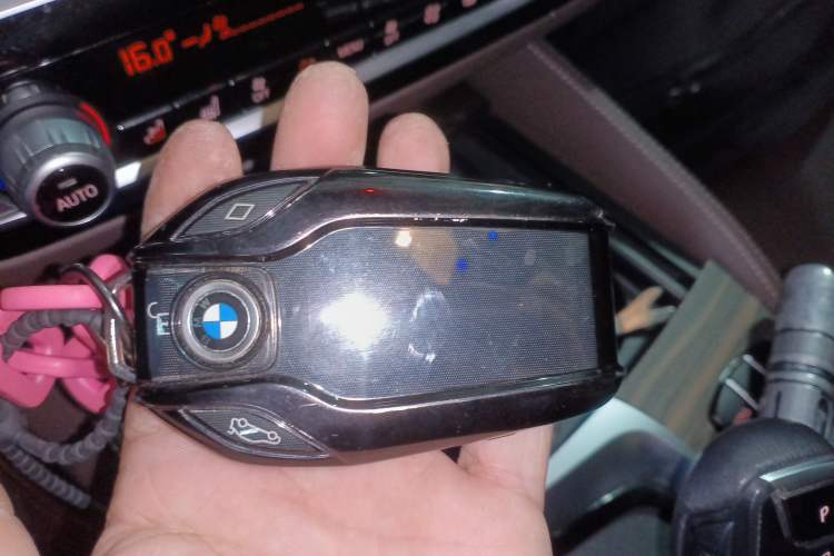 Used BMW 5 Series New Energy 2020 530Le Pioneer Edition