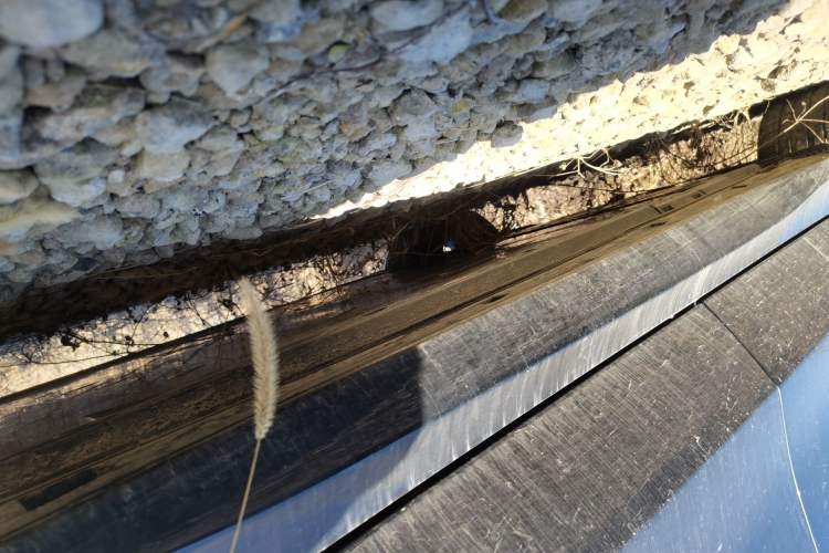 Used Volkswagen ID.7 VIZZION 2024 AIR model