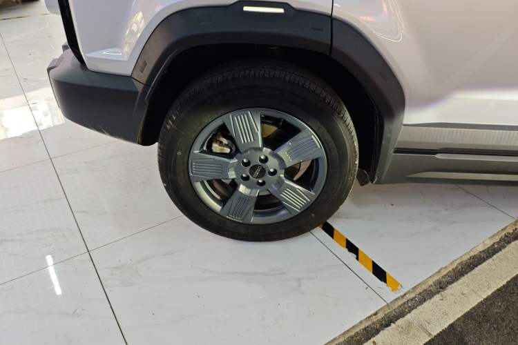 Used  03 2024 501km Two-Wheel Drive Long-Range Yuechao Edition
